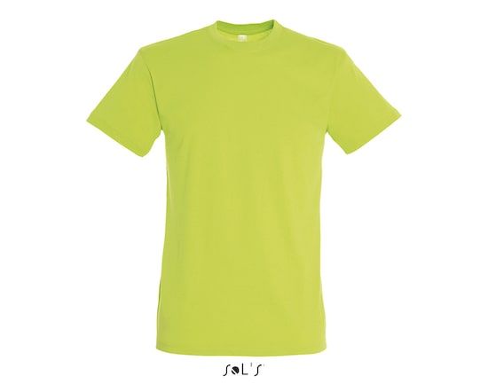 SOL'S REGENT-11380-VERT_POMME-A-min